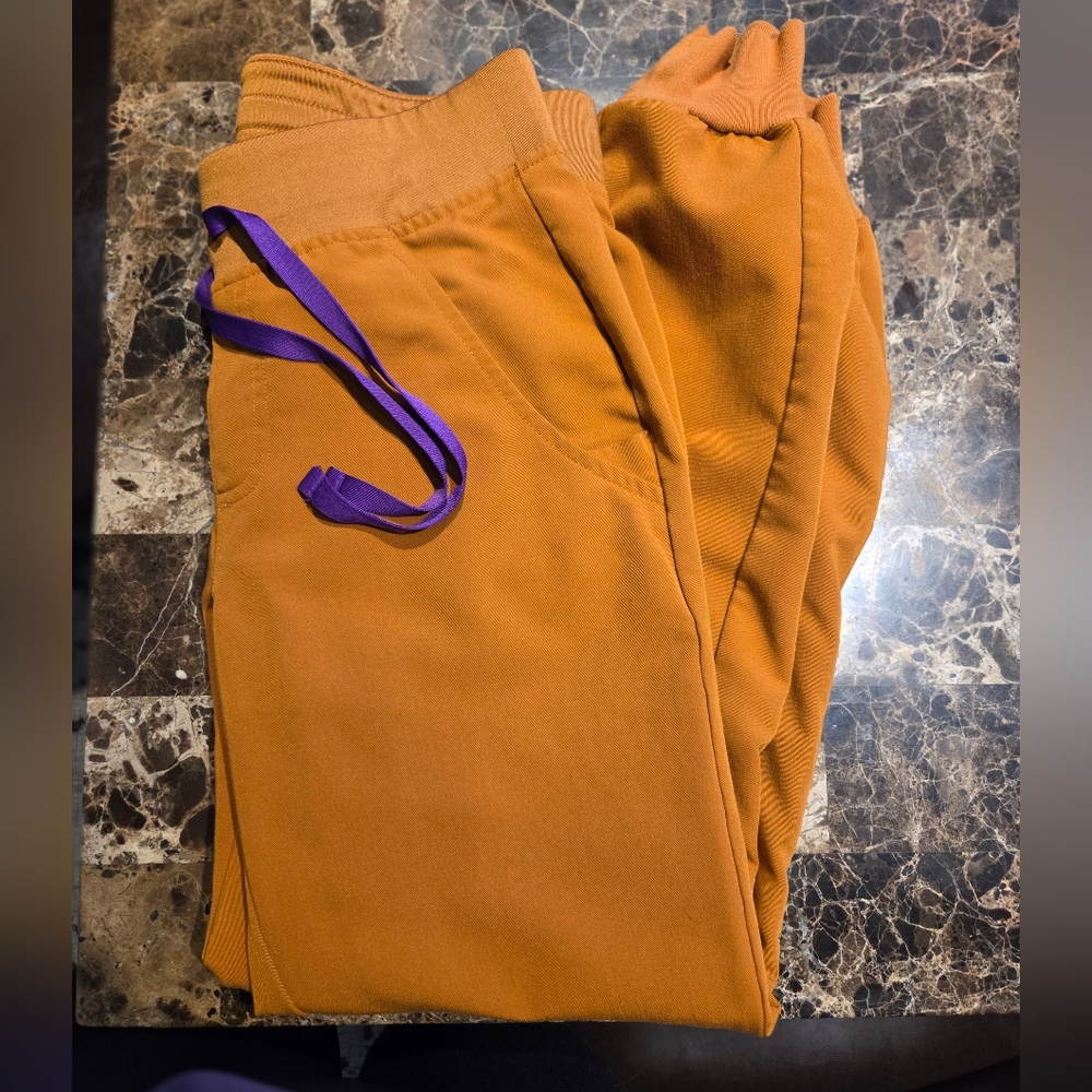 Limited EDITION FIGS ATLANTIC FALL ZAMORA JOGGERS XS PETITE